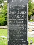 image of grave number 205936